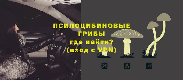 крисы Аркадак