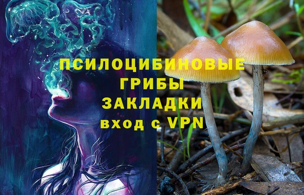 прущий лед Армянск