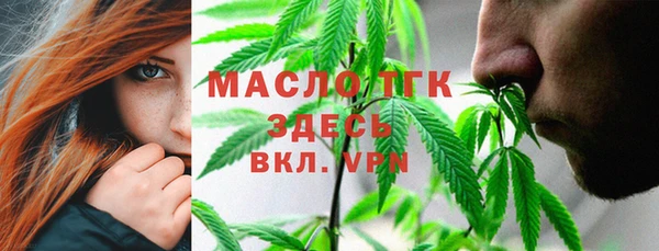 крисы Аркадак