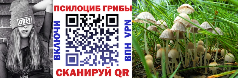 Псилоцибиновые грибы прущие грибы  гидра рабочий сайт  Камбарка 